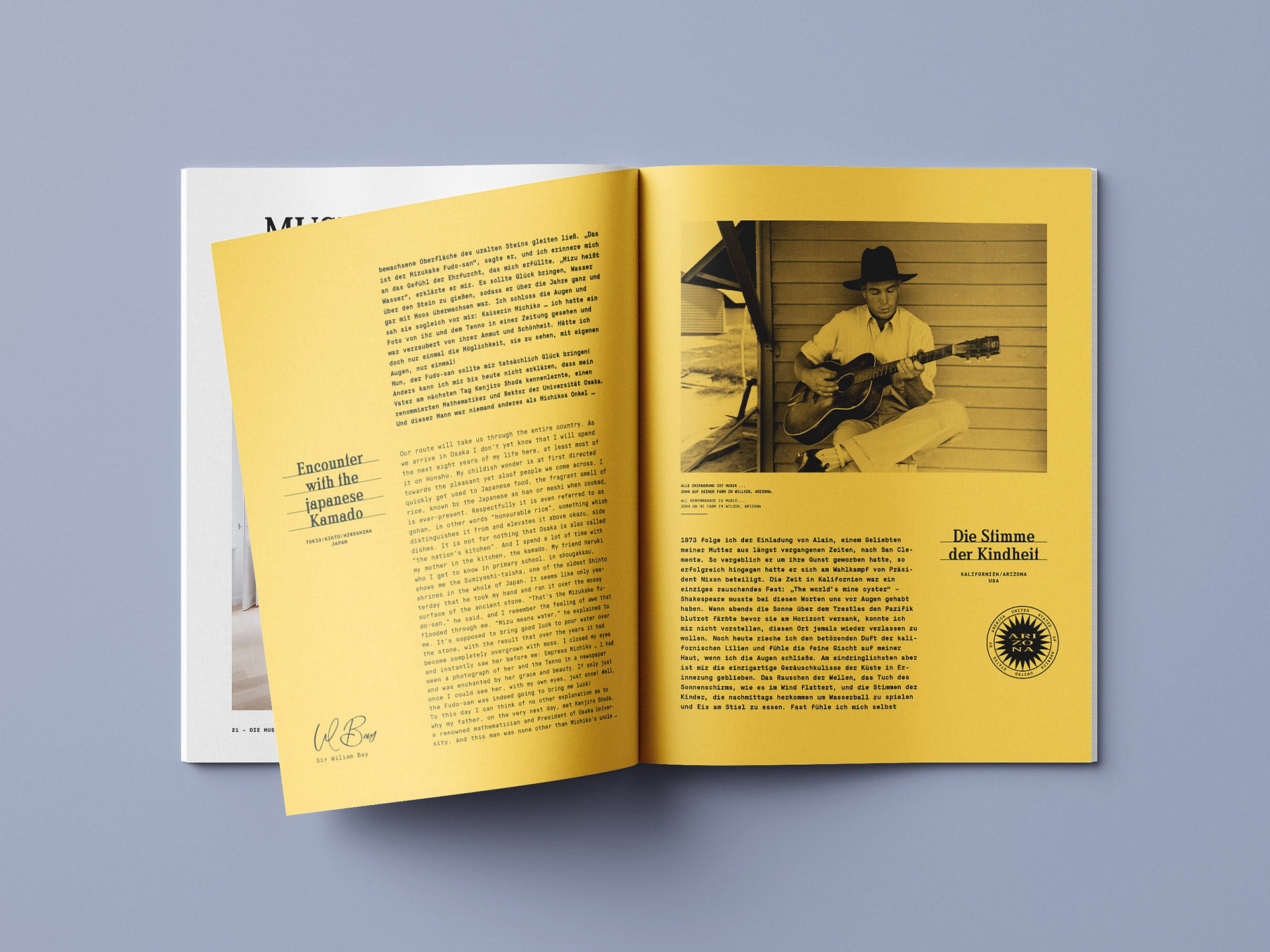 volt Design Web and Social media